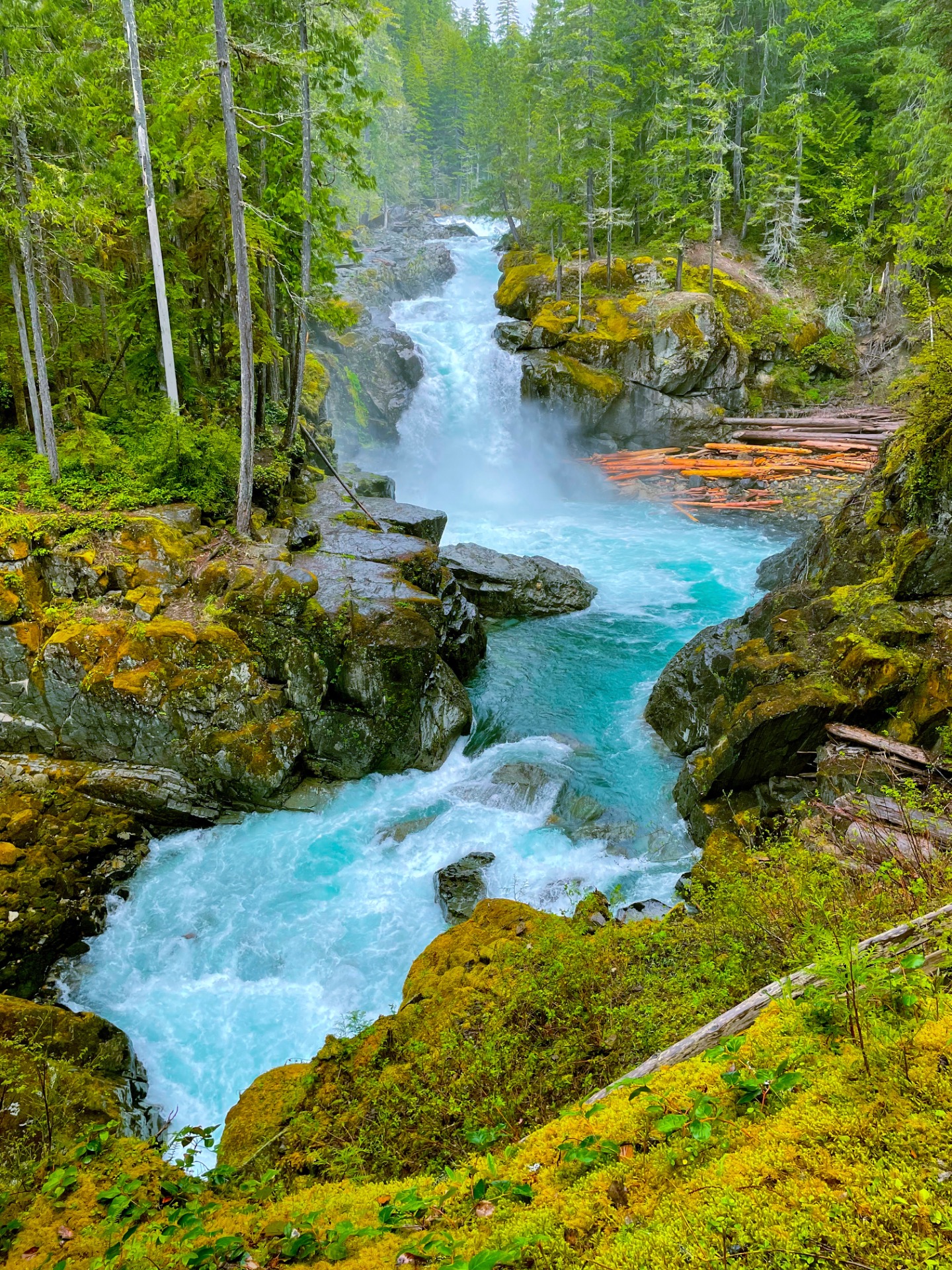 Silver Falls, Mount Rainier Wa